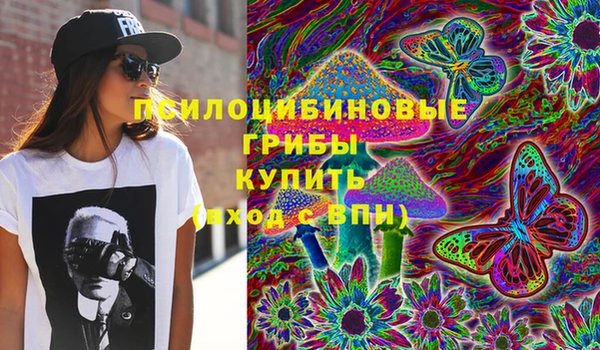 альфа пвп Беломорск