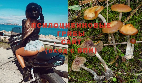 альфа пвп Беломорск