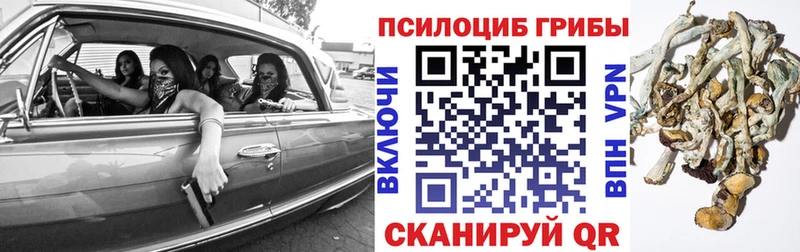 Галлюциногенные грибы MAGIC MUSHROOMS  где продают наркотики  Калининец 